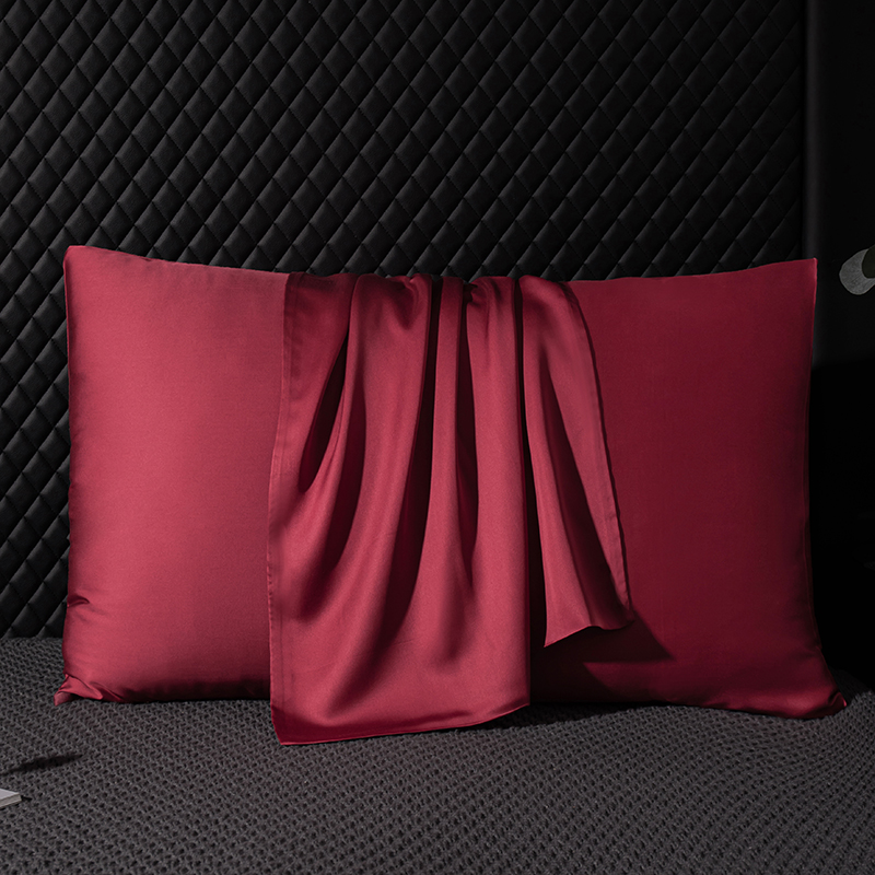 진짜 뽕나무 실크 베개 케이스 100% 실크 베개 케이 - Silk Pillowcase 리뷰 및 가격